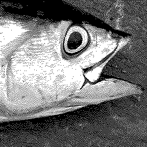 Überschätzte Lebensmittel: Thunfisch